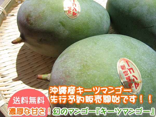 送料無料】キーツマンゴー を沖縄からお取り寄せ「琉球本舗」沖縄土産