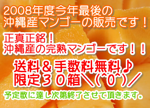 今年最後の正真正銘「沖縄産完熟マンゴー」販売です。限定30個!お早めに〜!