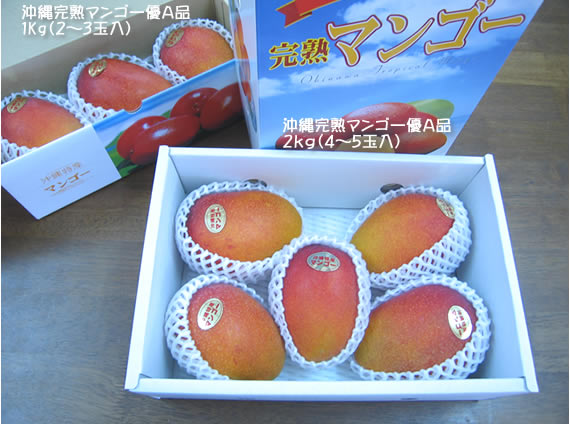完熟マンゴー優A品2kg、完熟マンゴー優A品1kg