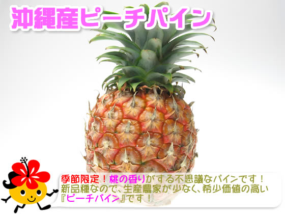 �ԡ����ѥ���