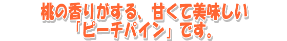���ι�꤬���롢�Ť�����̣�����֥ԡ����ѥ���פǤ��� width=560 height=80