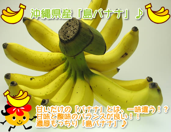 島バナナ を沖縄からお取り寄せ「琉球本舗」沖縄土産専門店