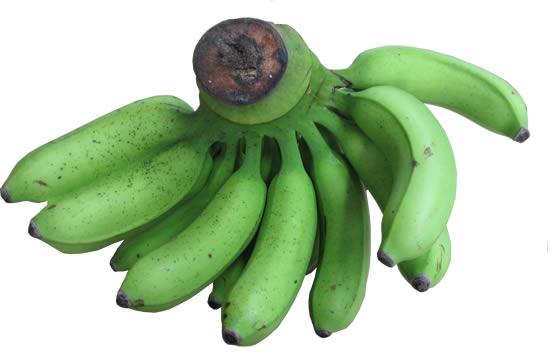 沖縄県産バナナ